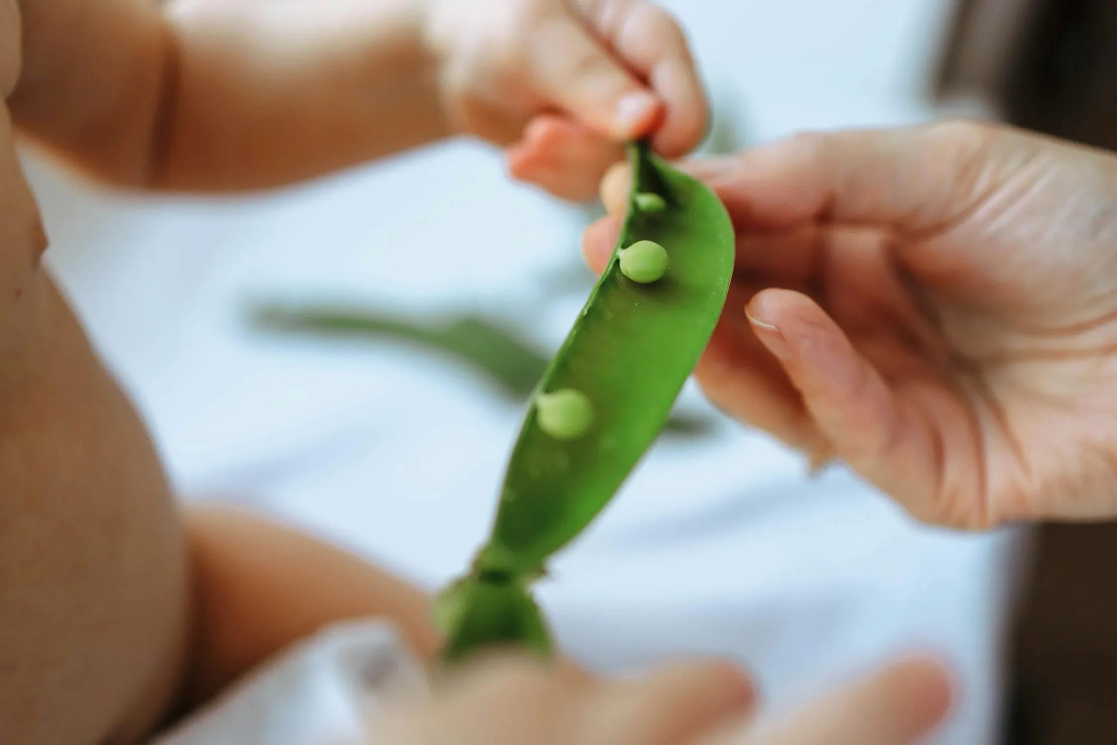 Ek Gıdaya Geçişte En Sık Yapılan Hatalar ve Doğruları